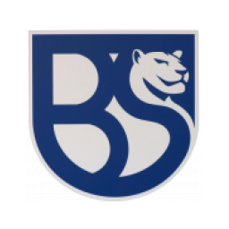 布雷西亞聯(lián)合